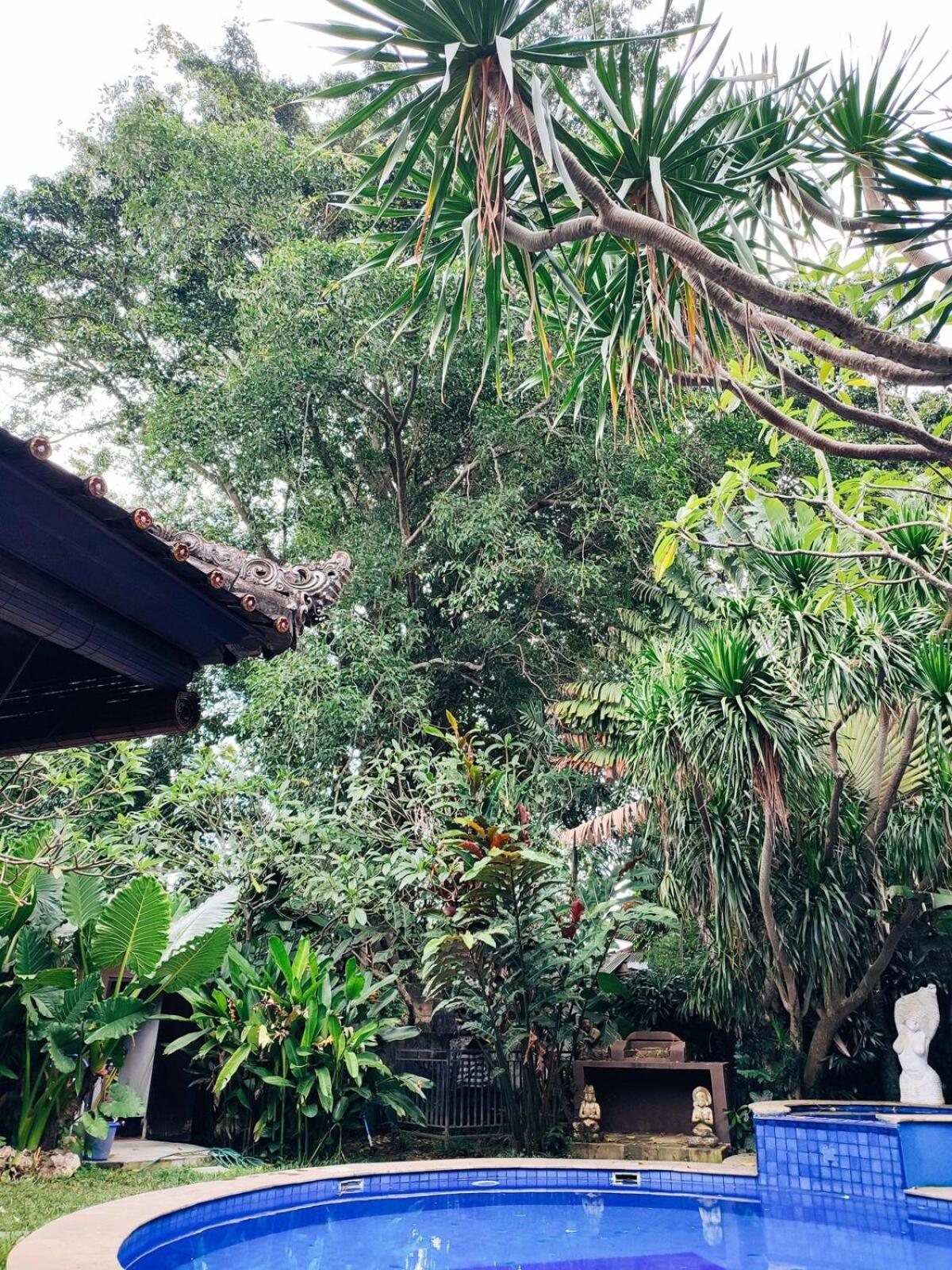 Blue - 4br Authentic And Atypical In * Seminyak (Bali)